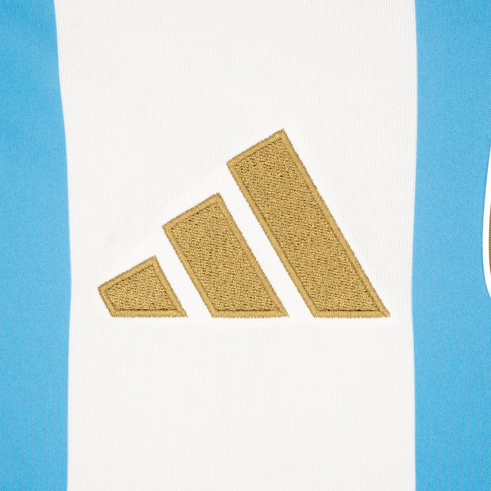 Jersey Local Selección Argentina 24