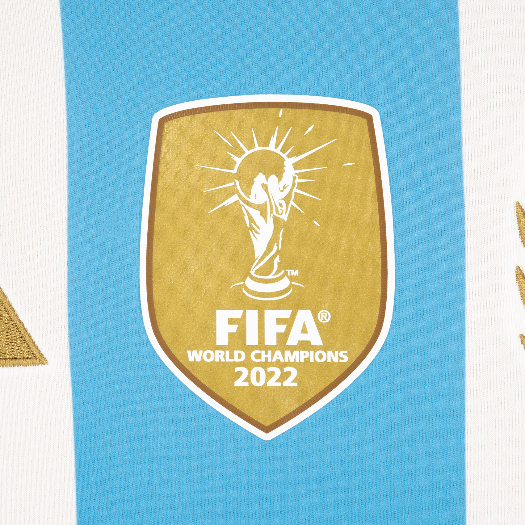 Jersey Local Selección Argentina 24